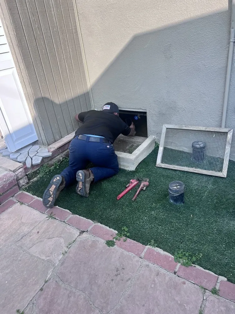 Slide of Beach Plumbing