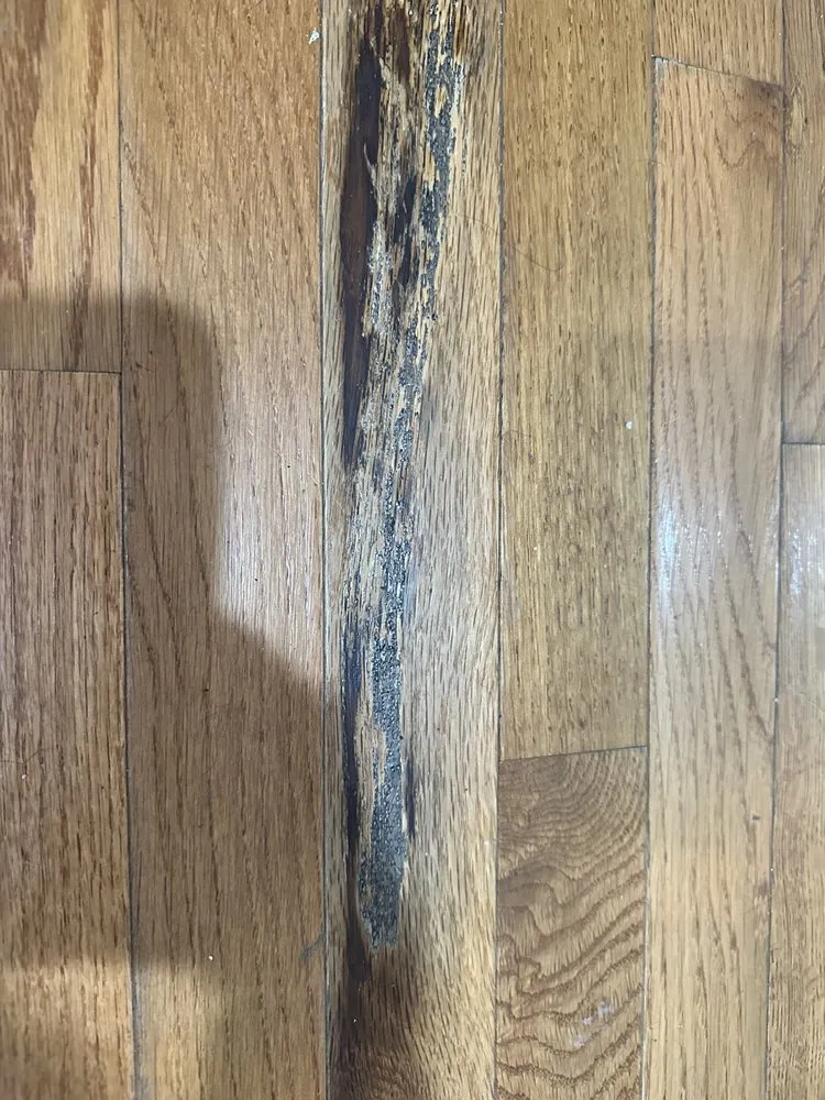 Top-rated drain cleaning experts serving Manassas, VA - Beacon Home Services