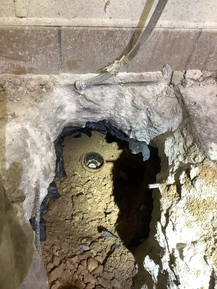 Slide of Bear Contracting