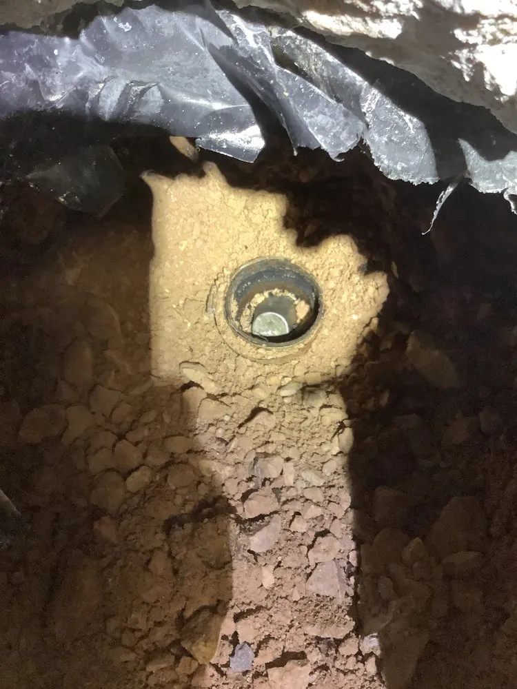 Slide of Bear Contracting