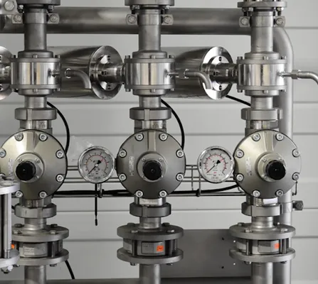 Bear Outdoor Irrigation Logo