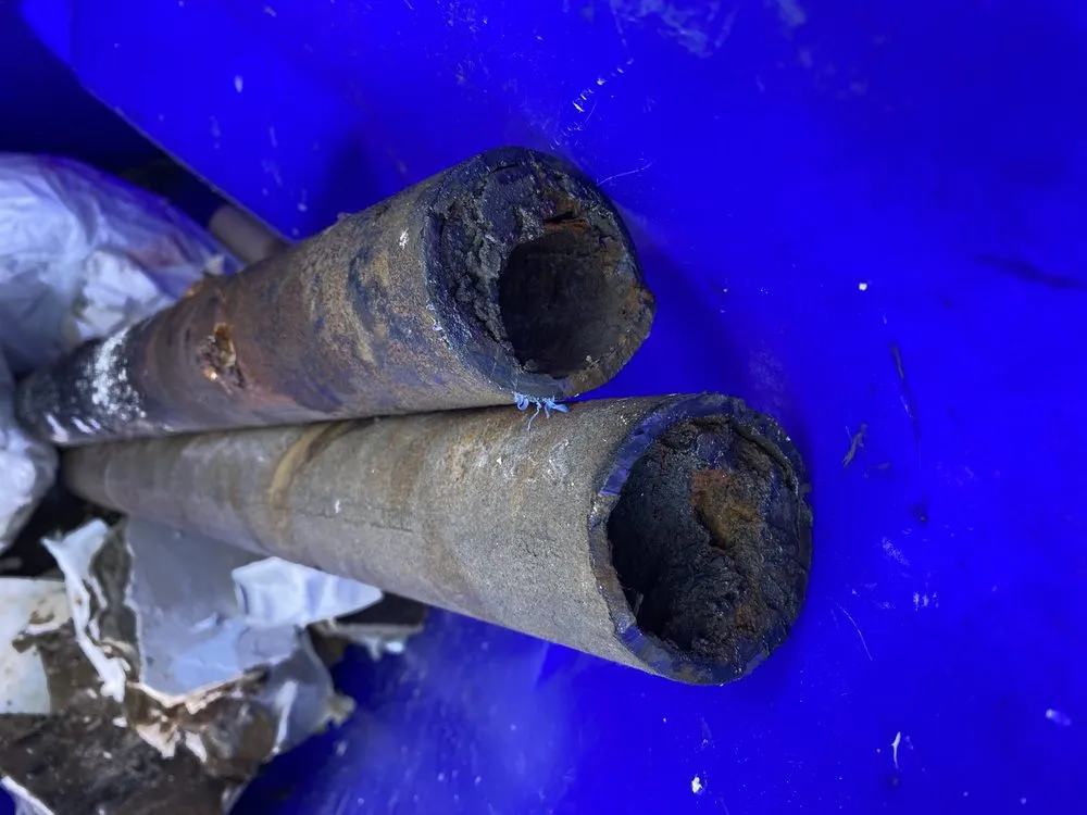 Top-rated pipe repair for homes in North Hollywood, CA by Bear Plumbing & Rooter