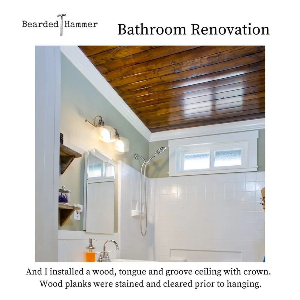 Slide of Bearded Hammer