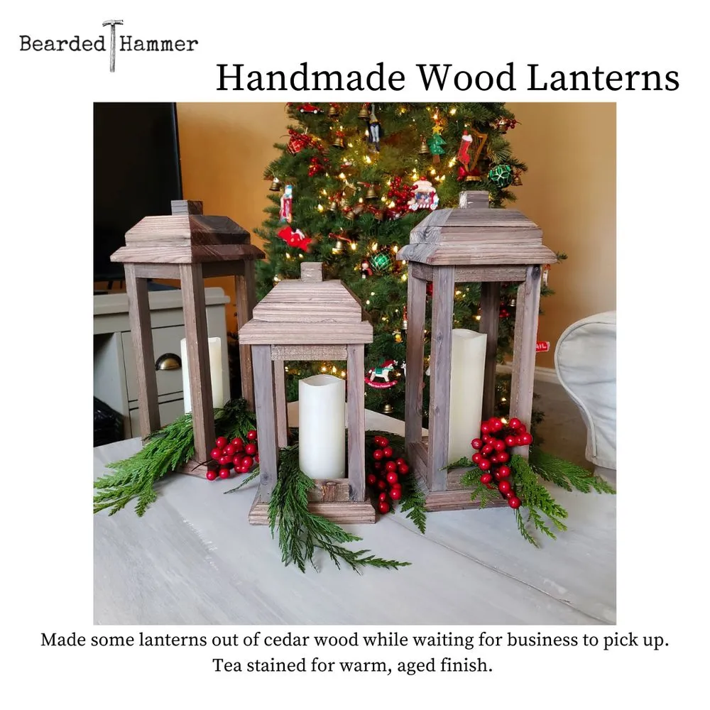 Slide of Bearded Hammer