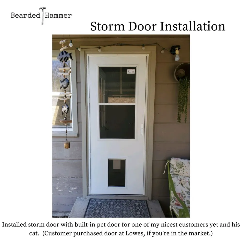 Slide of Bearded Hammer