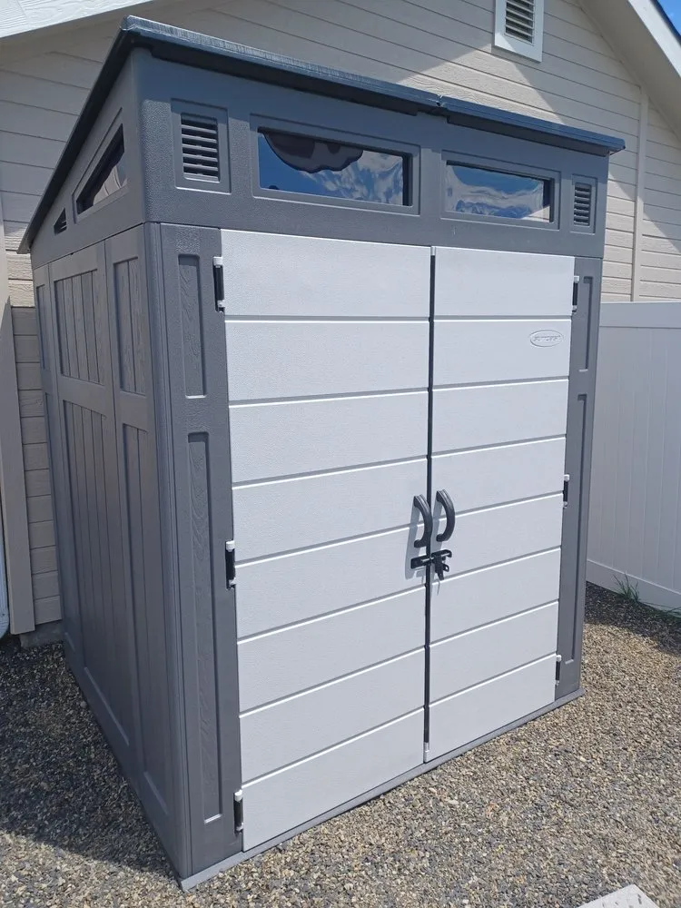 Slide of Bearded Hammer