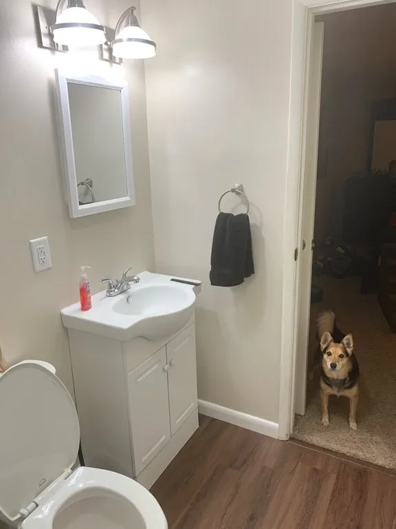 Slide of Bear's Home Improvements