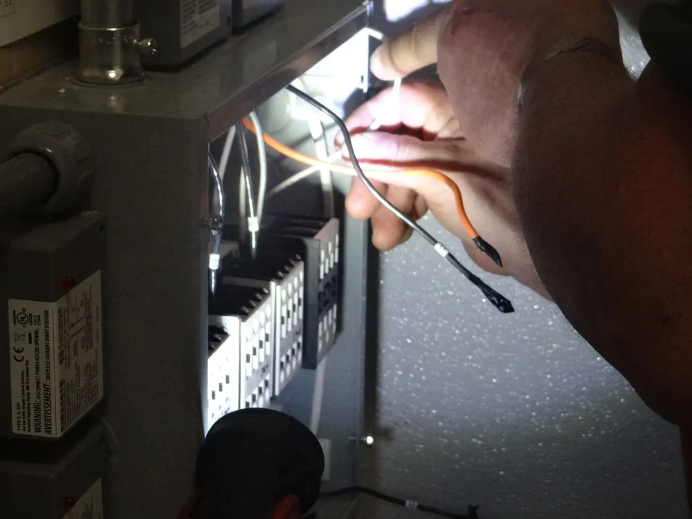 Slide of Bears Repairs