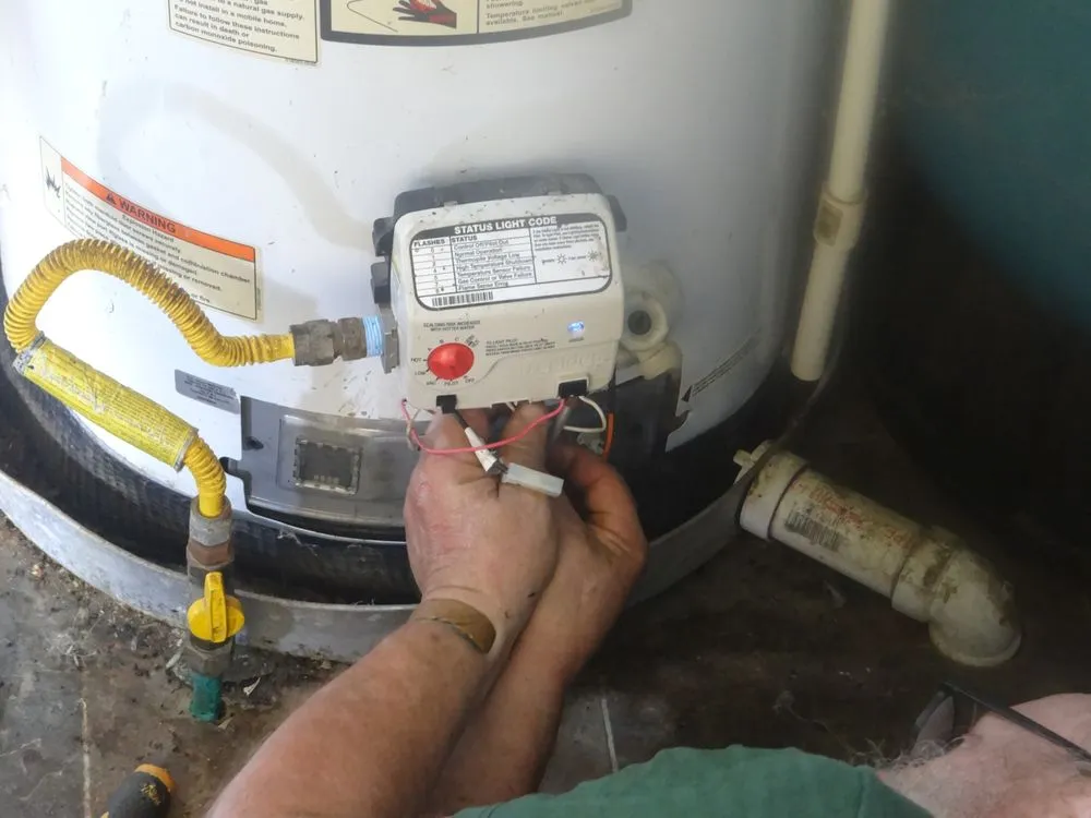 Slide of Bears Repairs