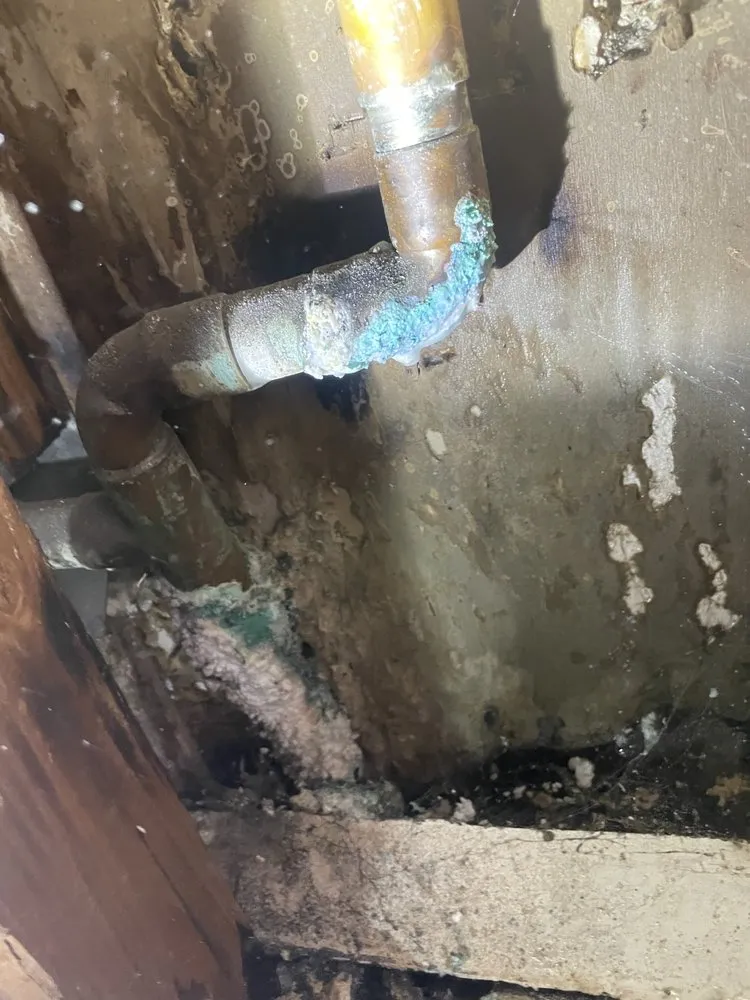 Slide of Beast Mode Plumbing & Rooter