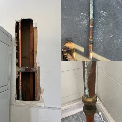 Beast Mode Plumbing & Rooter Logo