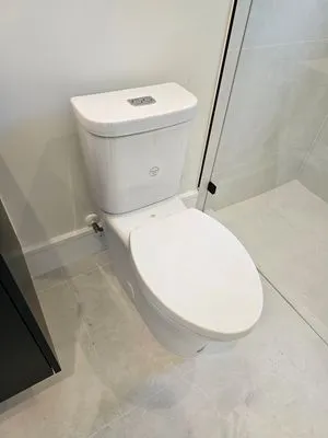 Beast Plumbing Services Logo