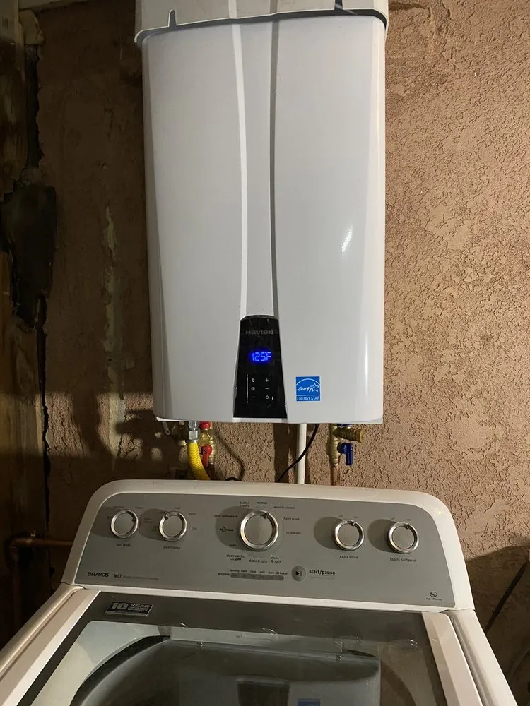 Slide of Beast Rooter