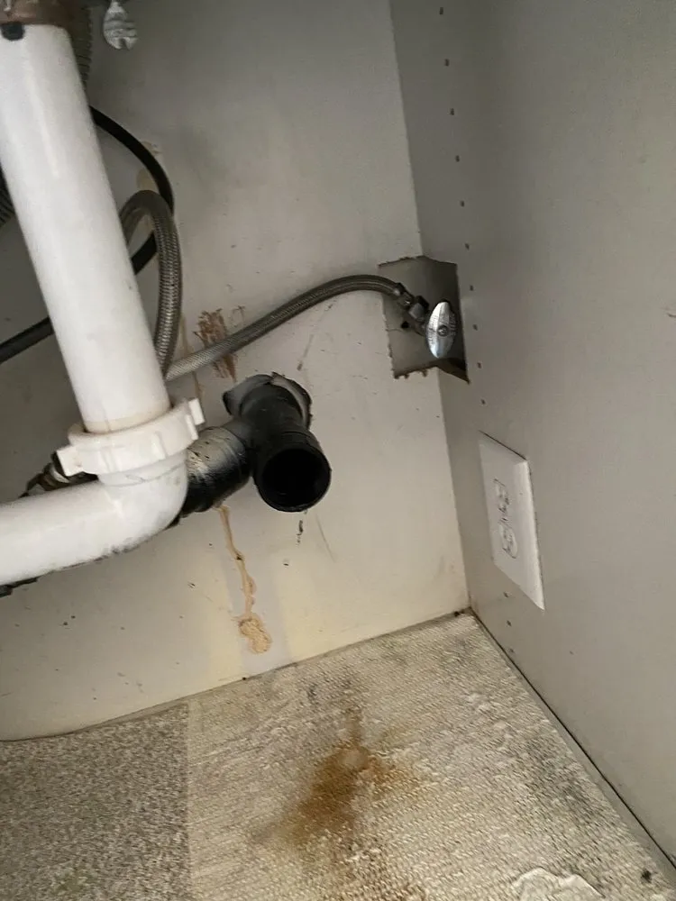 Slide of Beast Rooter