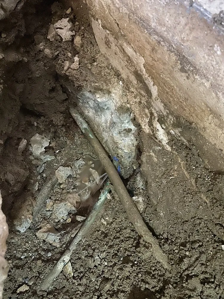 Slide of Beast Rooter