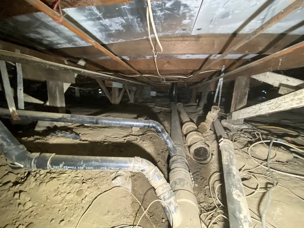 Slide of Beast Rooter