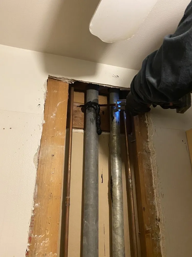 Slide of Beast Rooter