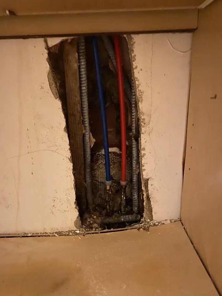 Slide of Beast Rooter