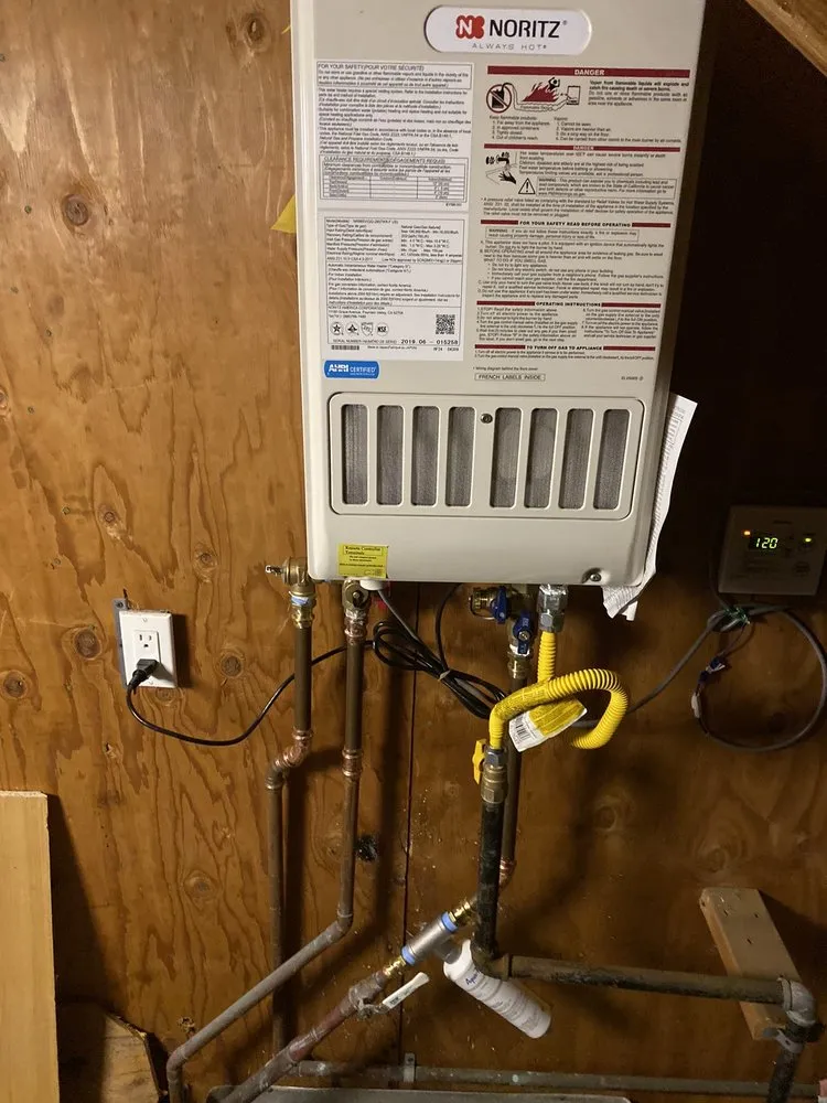 Slide of Beast Rooter