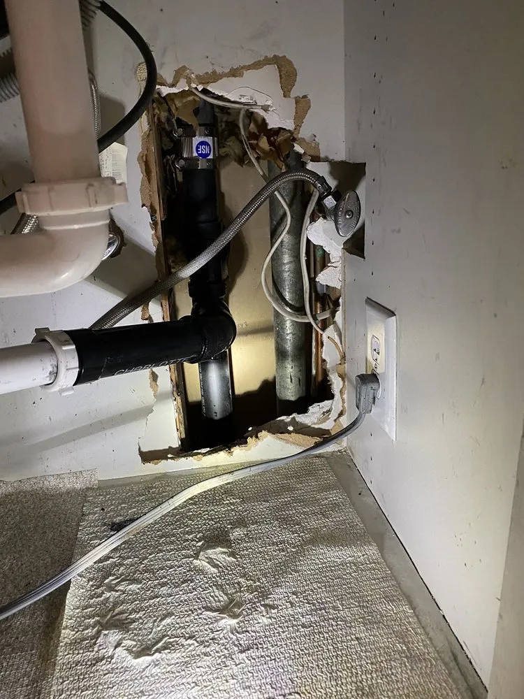 Slide of Beast Rooter