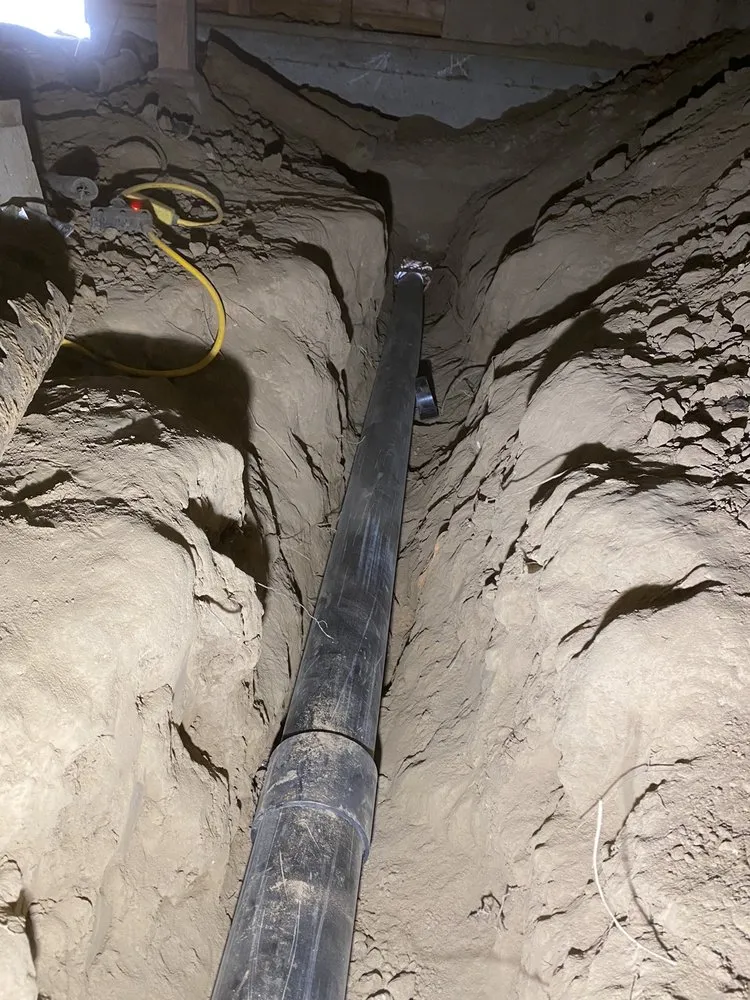 Slide of Beast Rooter