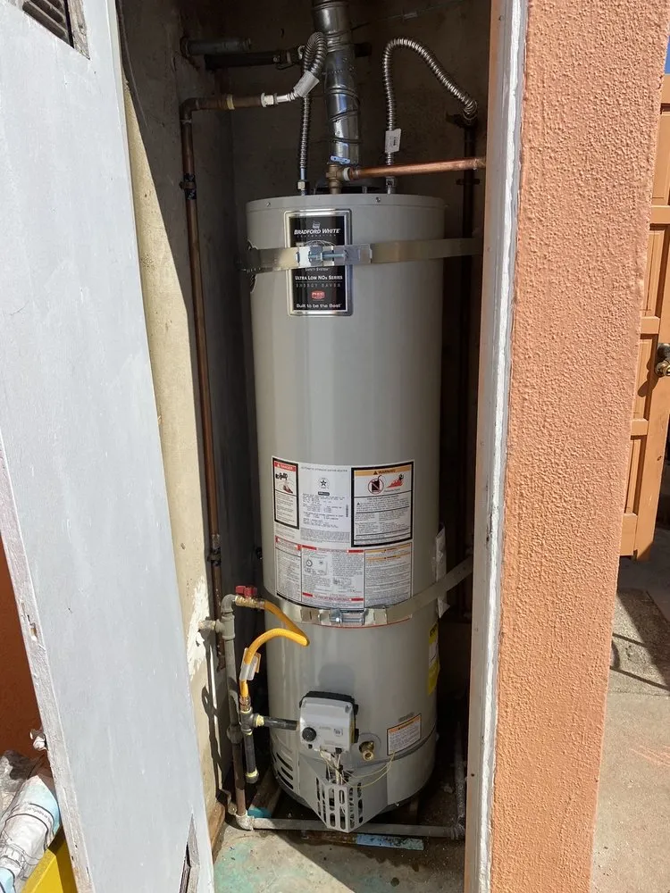 Slide of Beast Rooter