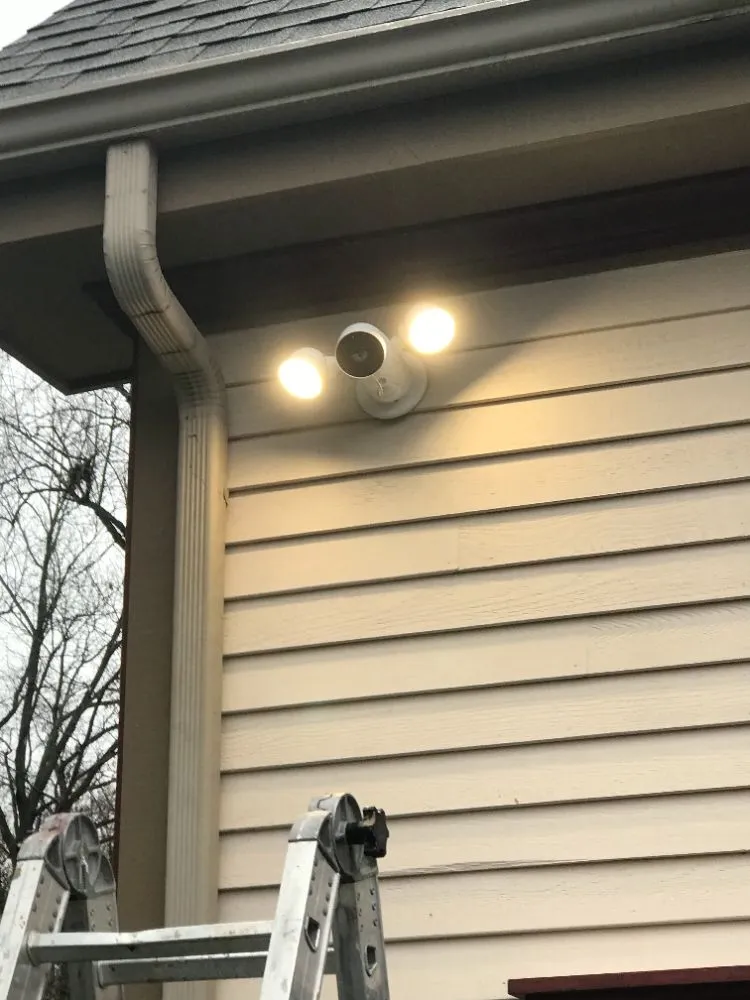 Slide of Beaver Wood Master