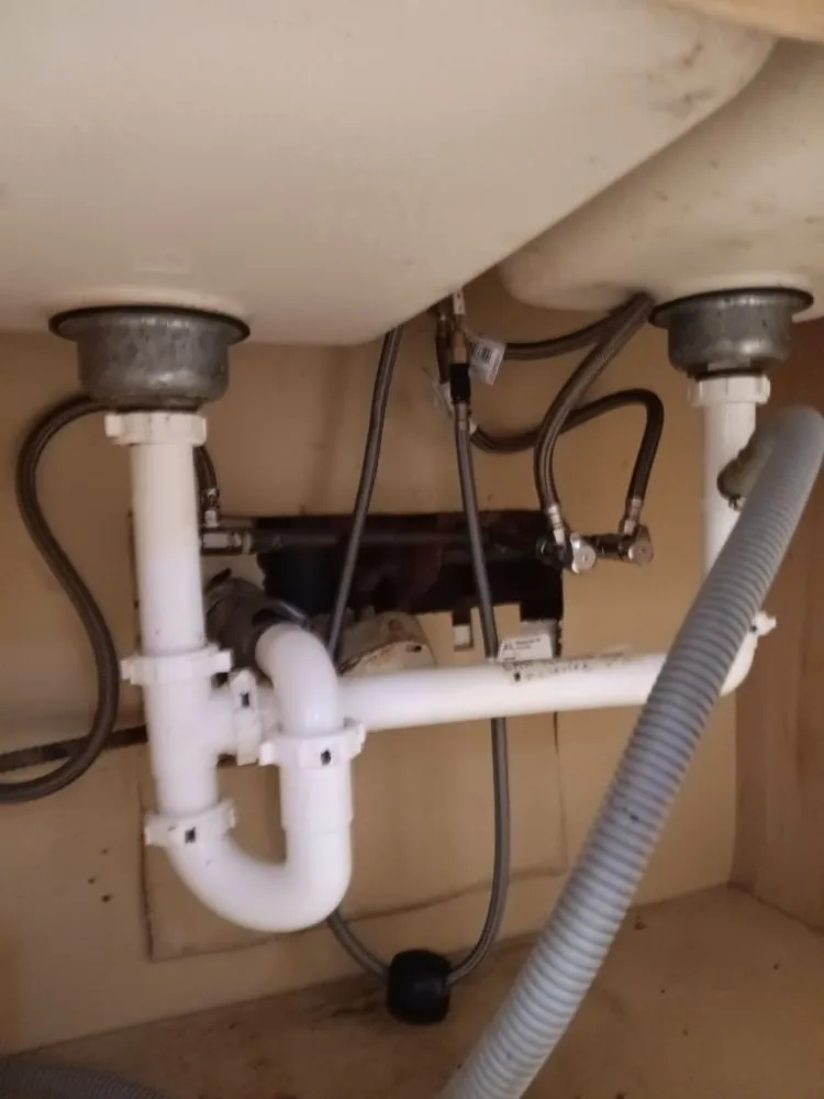 Slide of Beaver Wood Master