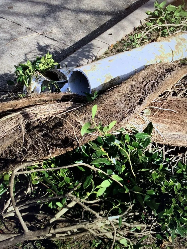 Top-rated drain cleaning for homes in Dallas, TX by Bee Prestigious Plumbing