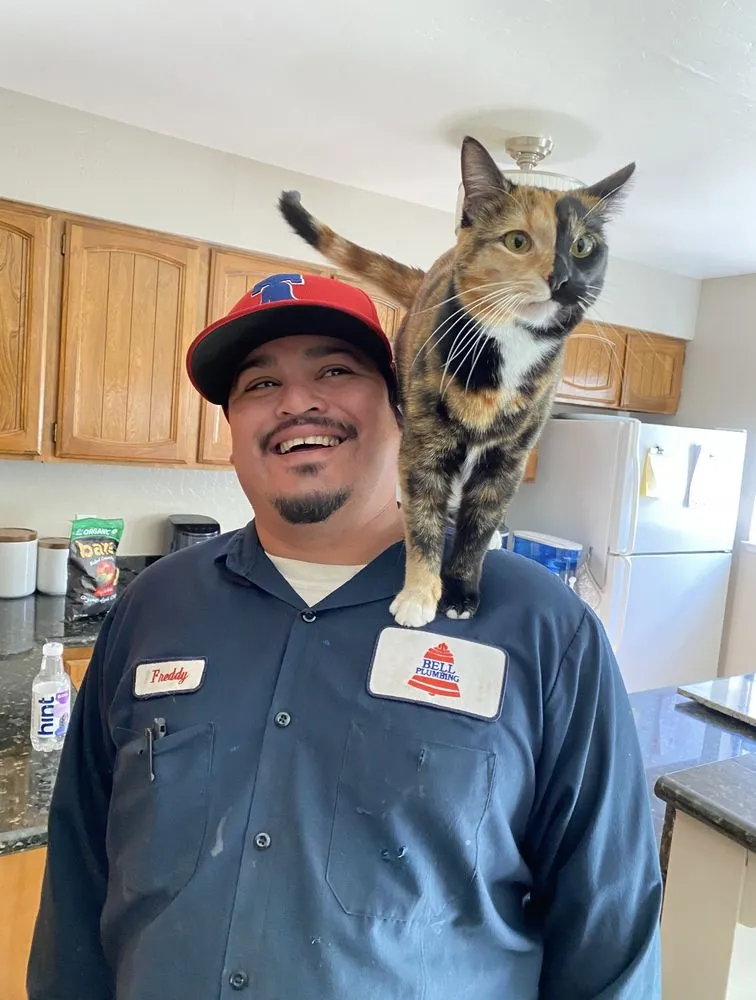 Slide of Bell Plumbing