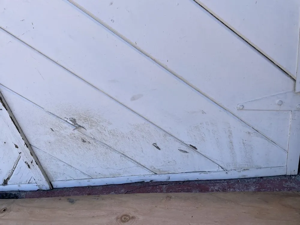 Top-rated leak detection service in San Rafael, CA - Bellows Plumbing, Heating & Air