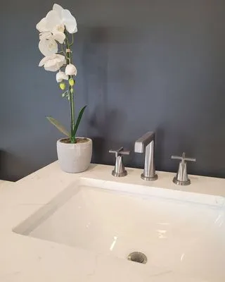 Belmont Rd Licensed Plumber Logo