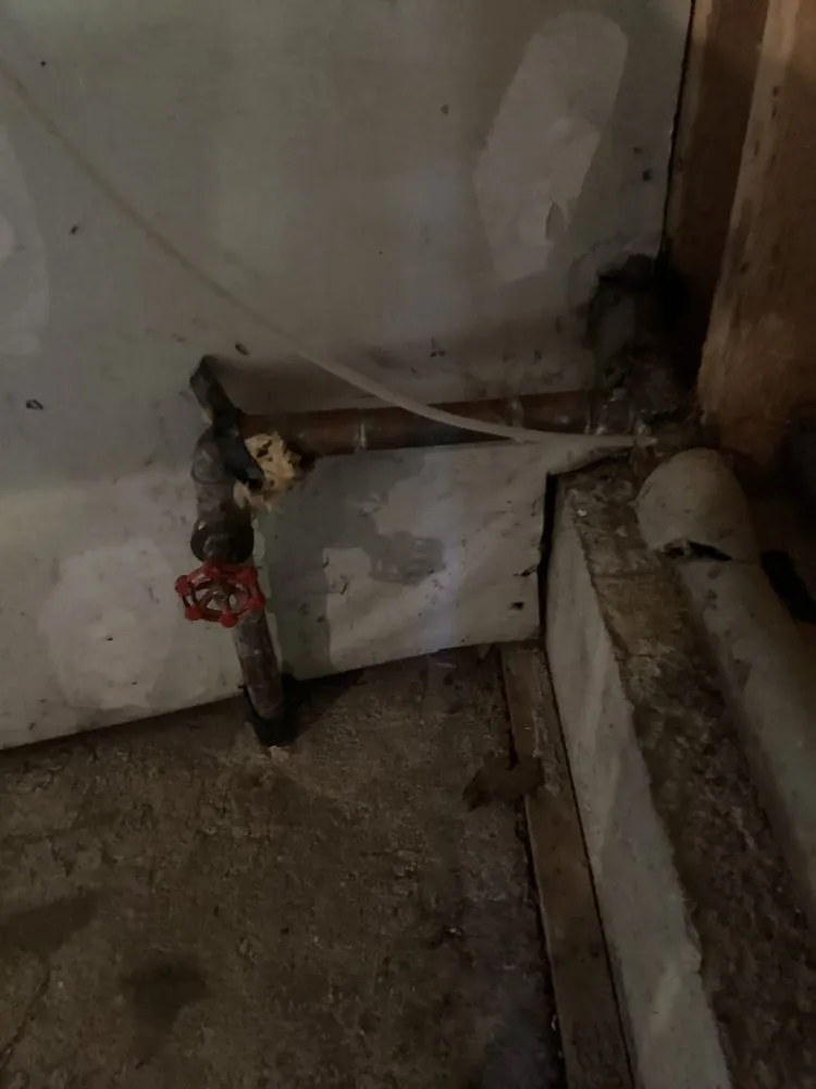 Affordable leak detection for homes in Mukilteo, WA by BelRed Heating, Cooling, Plumbing & Electrical