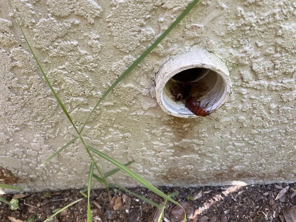 Slide of Ben Handyman