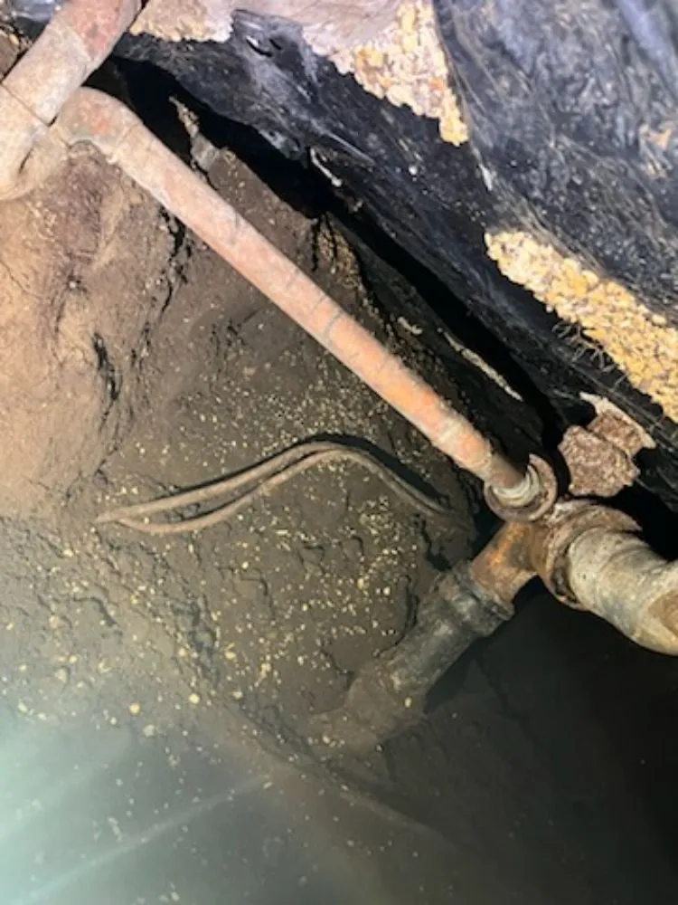 Slide of Benitez Professional Plumbing