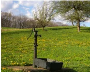 Slide of Benjamin F Gartrell & Sons