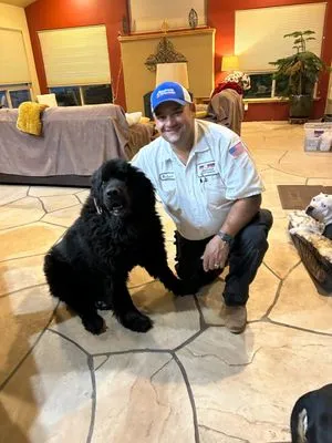 Benjamin Franklin - Henderson Logo