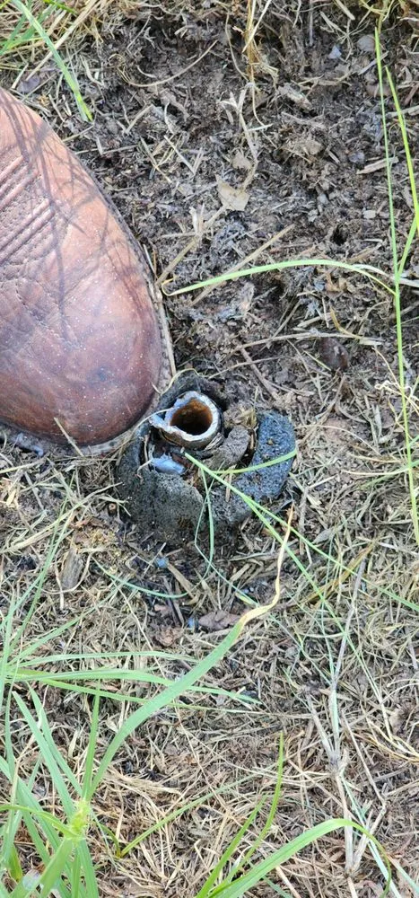 Slide of Benjamin Franklin