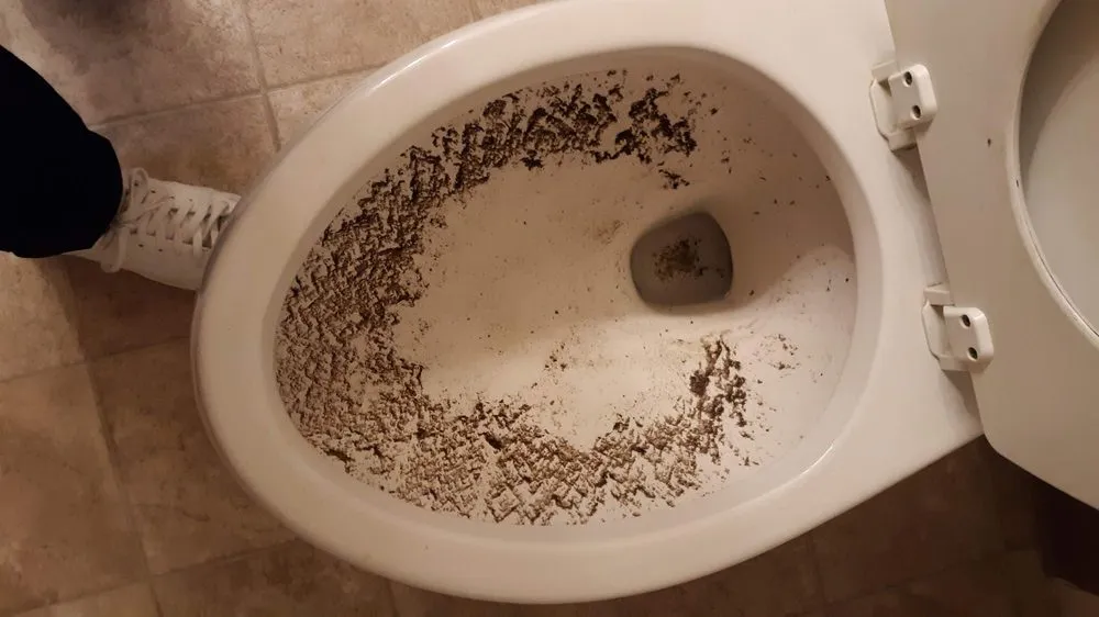 Slide of Benjamin Franklin Plumbing - Novato