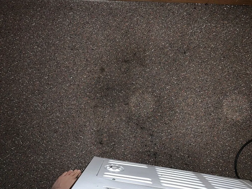 Top-rated leak detection for homes in Cedar Rapids, IA by Benjamin Franklin Plumbing