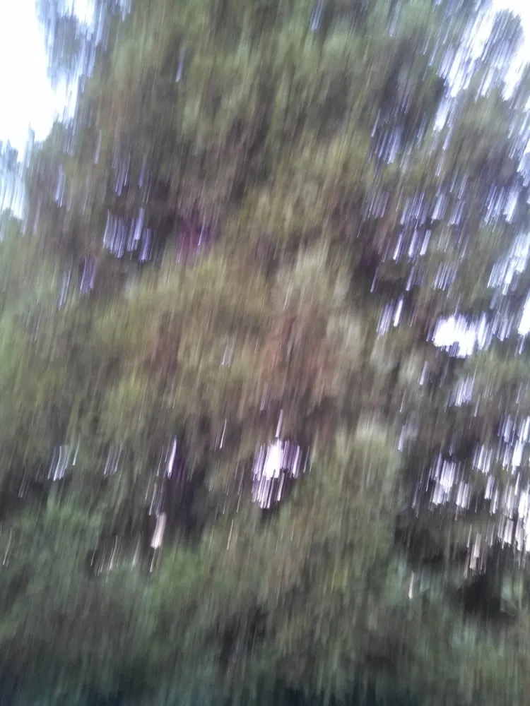 Top-rated drain cleaning experts serving Lakeport, CA - Benjamin Franklin Plumbing