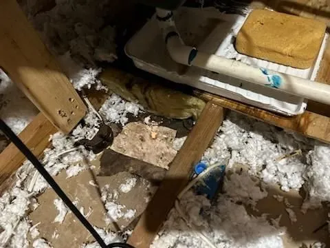 Benjamin Franklin Plumbing Logo