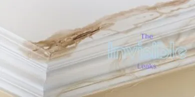 Slide of Benjamin Franklin Plumbing