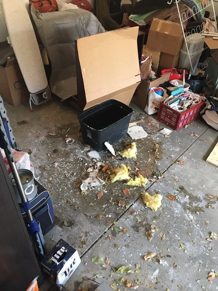 Top-rated leak detection in Omaha, NE by Benjamin Franklin Plumbing of Omaha