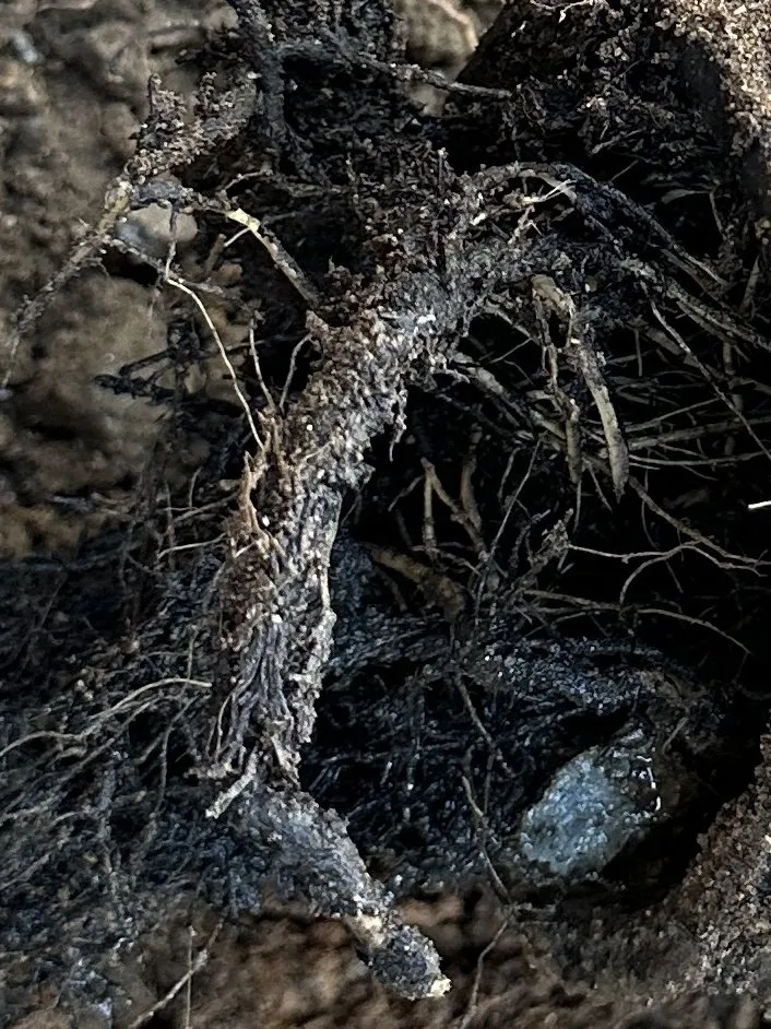 Professional water heater service in Santa Cruz, CA by Benjamin Franklin Plumbing of Santa Cruz