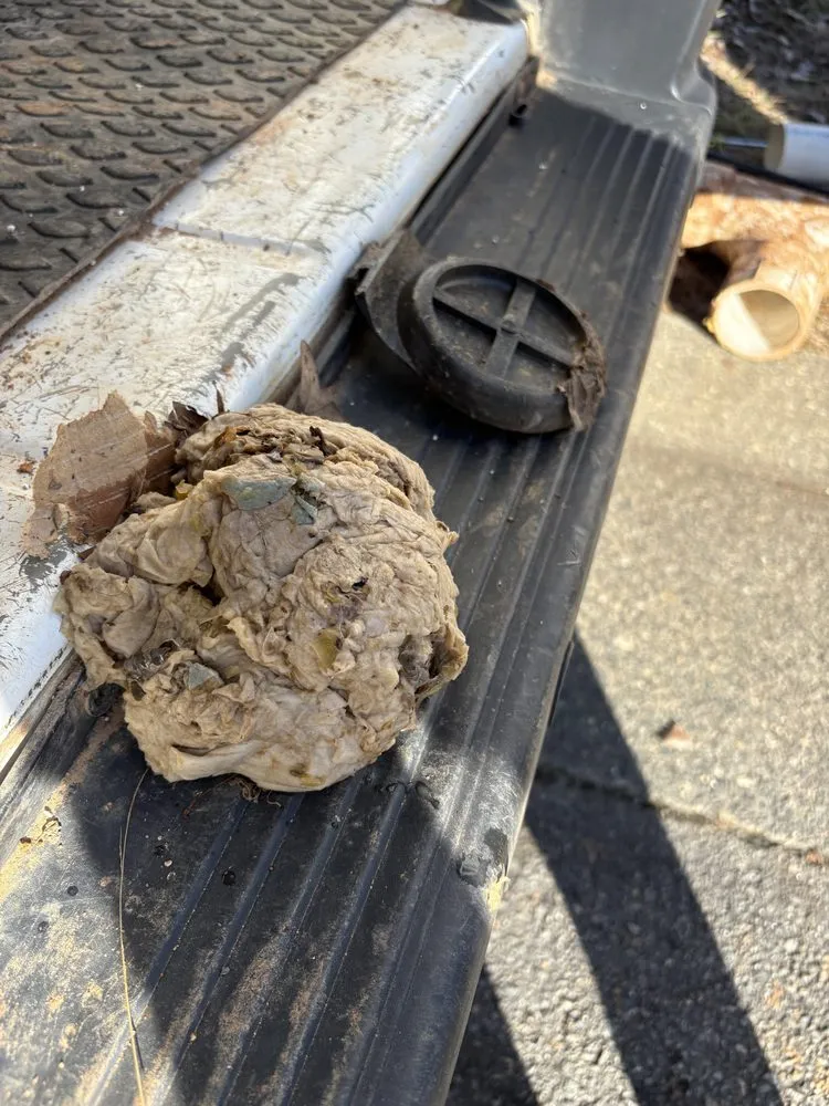 Slide of Benjamin Franklin Plumbing Of The Triad