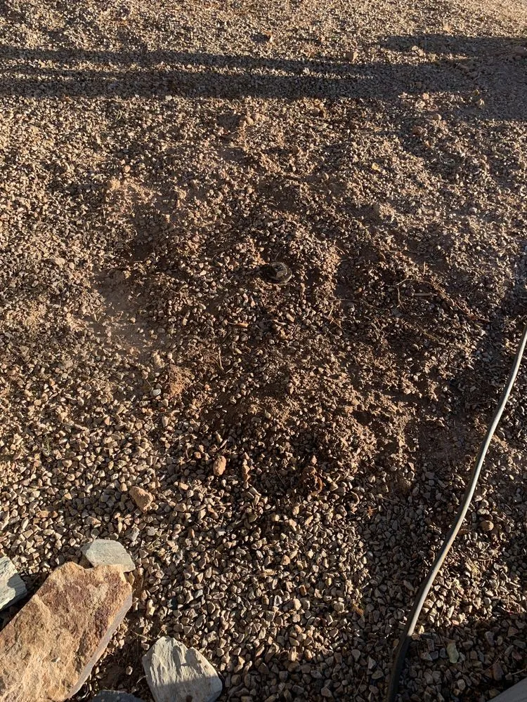 Trusted drain cleaning service in Phoenix, AZ - Benjamin Franklin Plumbing