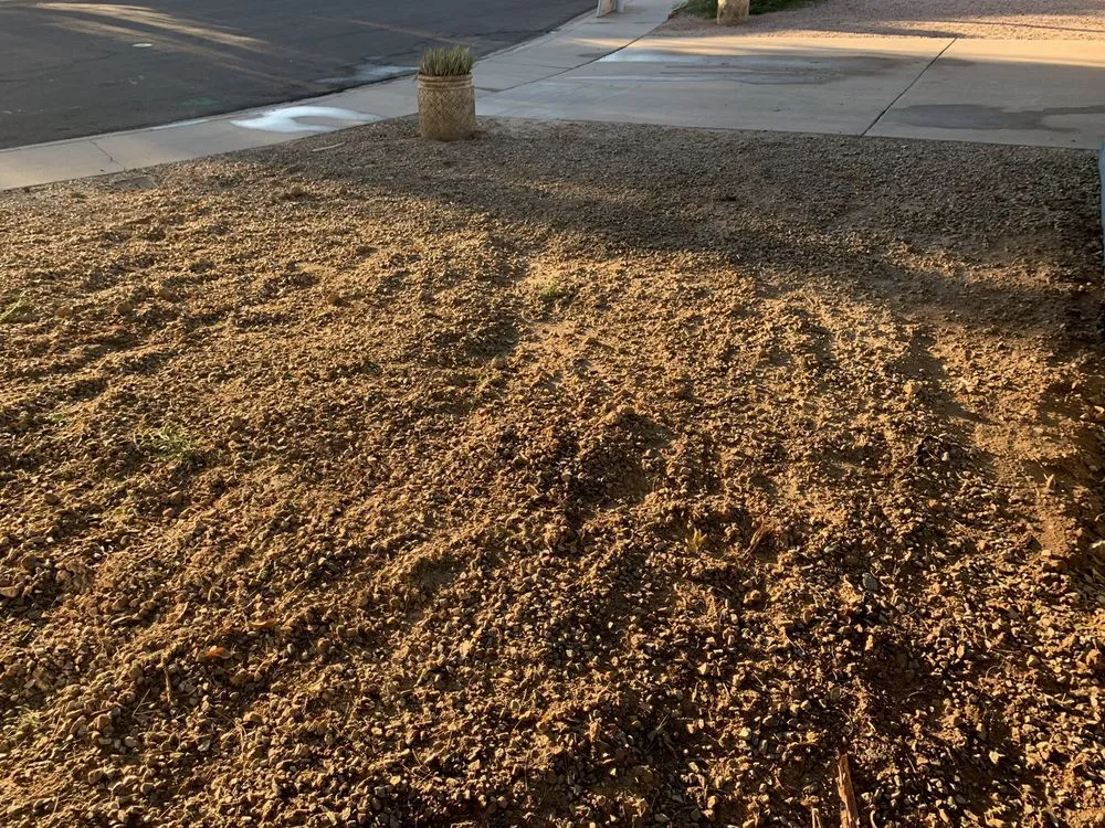 Affordable water heater service for homes in Phoenix, AZ by Benjamin Franklin Plumbing