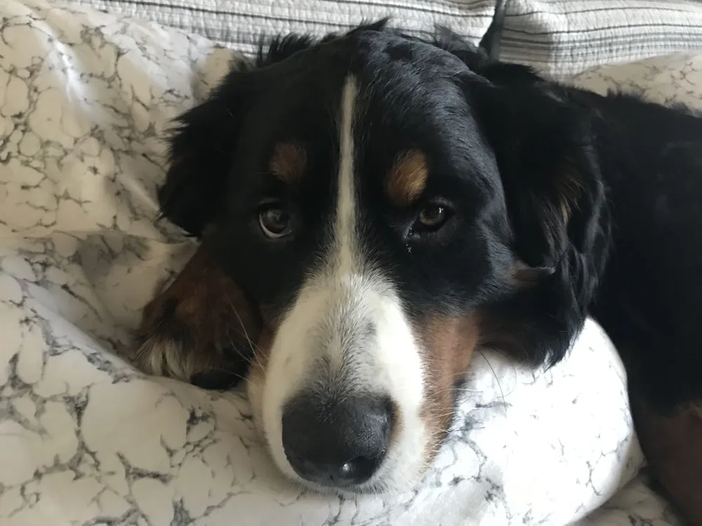 Slide of Benjamin Franklin Plumbing