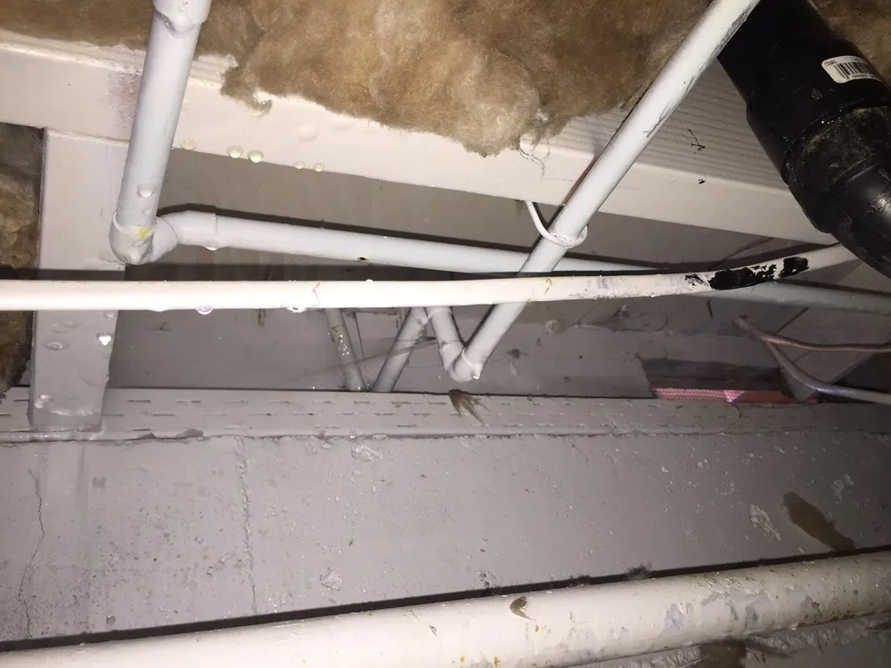 Slide of Benjamin Franklin Plumbing